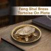 Feng Shui and Vastu Brass Tortoise On Plate Showpiece for Good Luck Money Home Decor Decoration 2x1 inch Golden Color